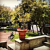 Malformed University Name  Uncategorized Surveys