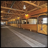 Malformed University Name  Uncategorized Surveys