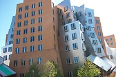 The Massachusetts Institute of Technology