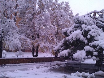 The University of Colorado - Boulder