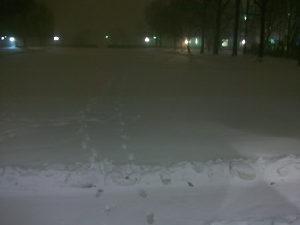 The Massachusetts Institute of Technology