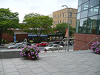 Malformed University Name  Uncategorized Surveys