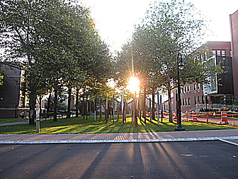 Malformed University Name  Uncategorized Surveys