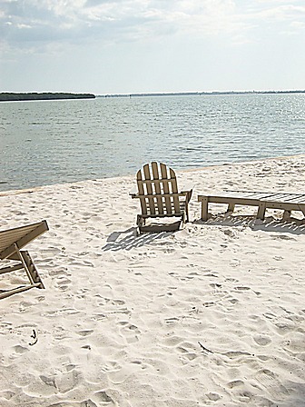 Malformed University Name  Uncategorized Surveys