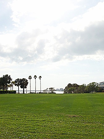 Malformed University Name  Uncategorized Surveys