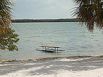 Malformed University Name  Uncategorized Surveys