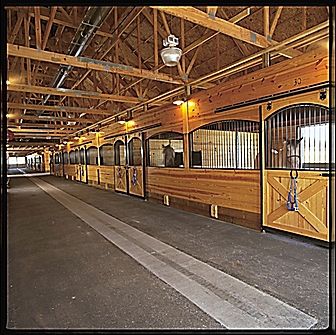 Malformed University Name  Uncategorized Surveys