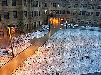 Malformed University Name  Uncategorized Surveys