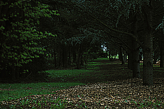 Malformed University Name  Uncategorized Surveys