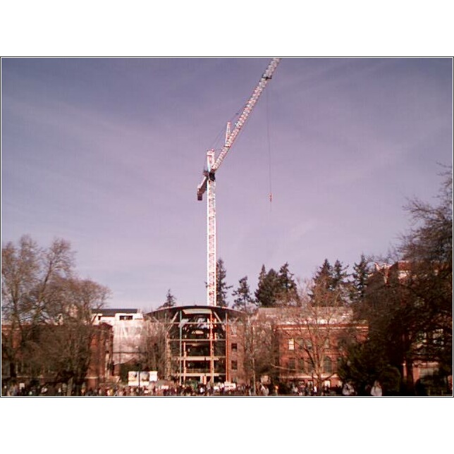 The University of Oregon