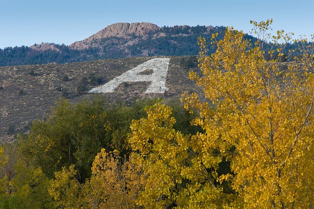Colorado State University - Fort Collins