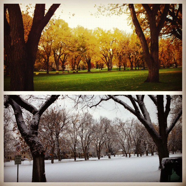 Colorado State University - Fort Collins