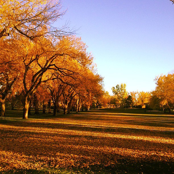 Colorado State University - Fort Collins