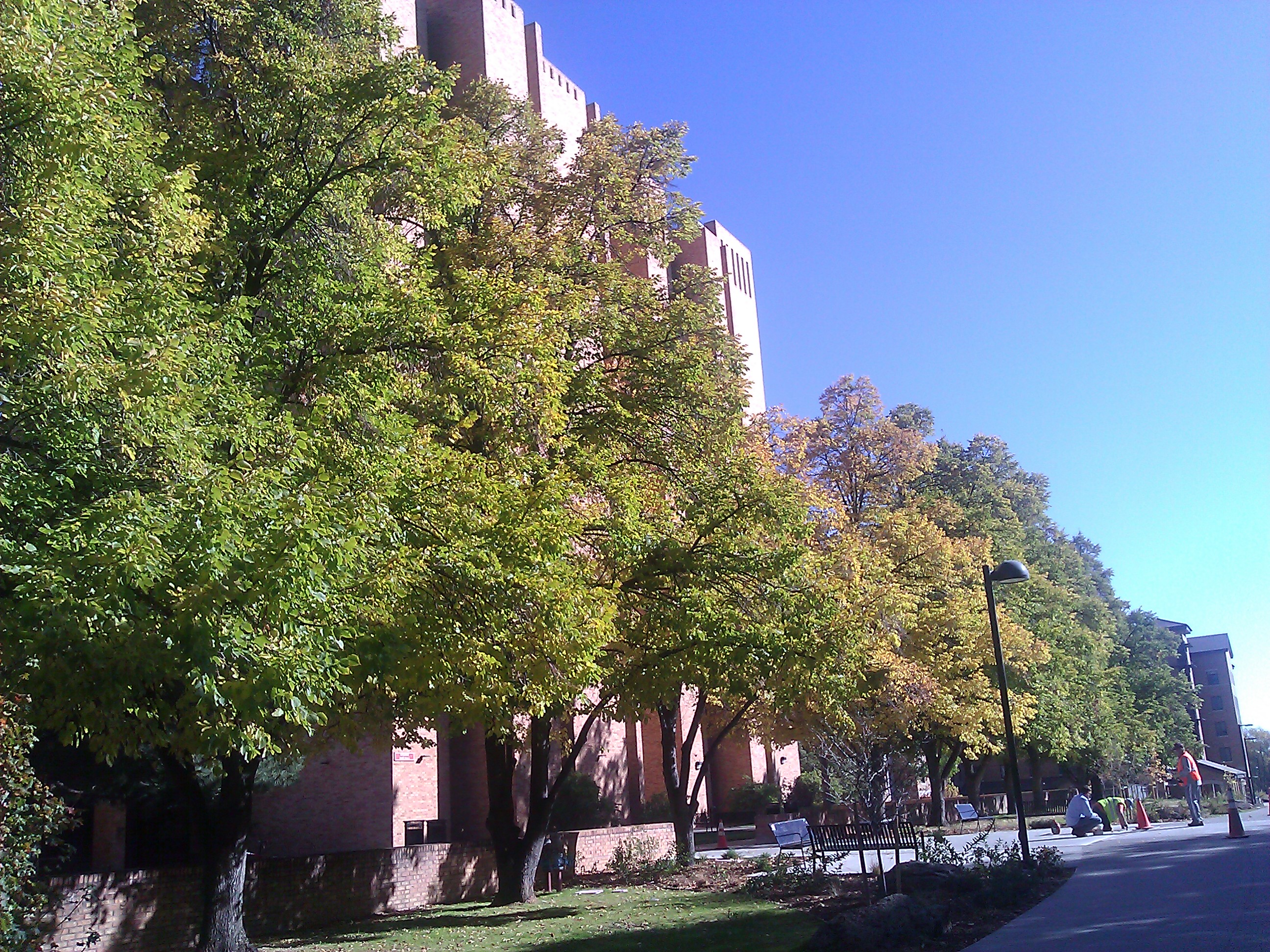 The University of Colorado - Boulder