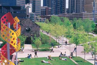 The University of Colorado - Denver