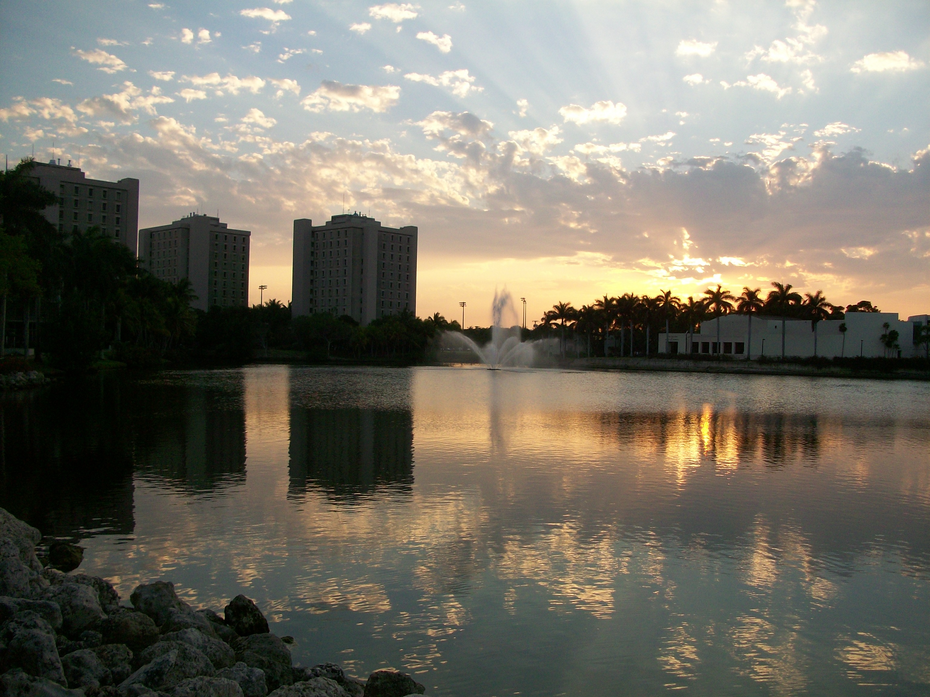 The University of Miami