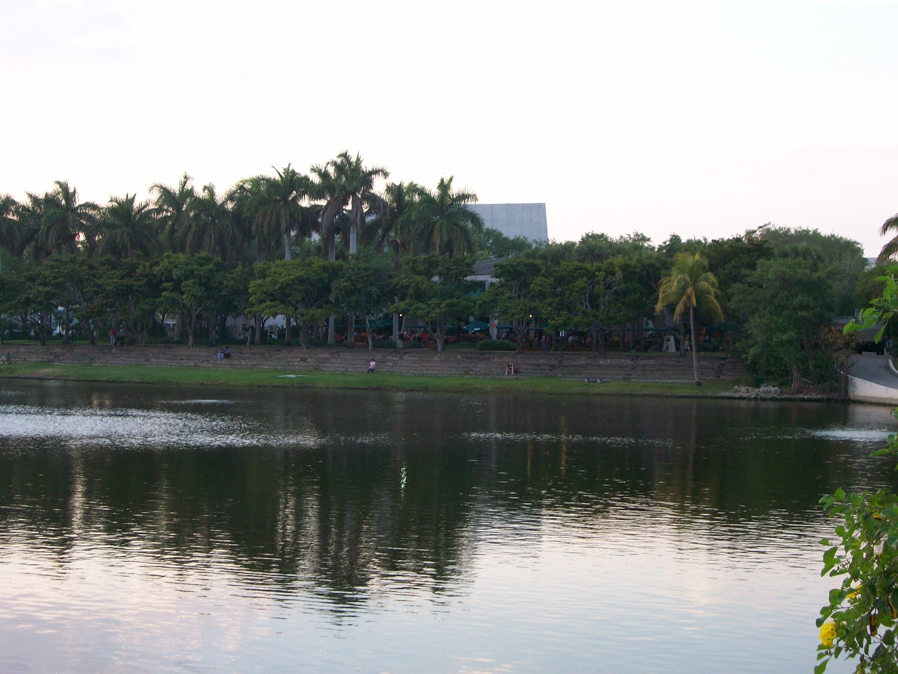 The University of Miami