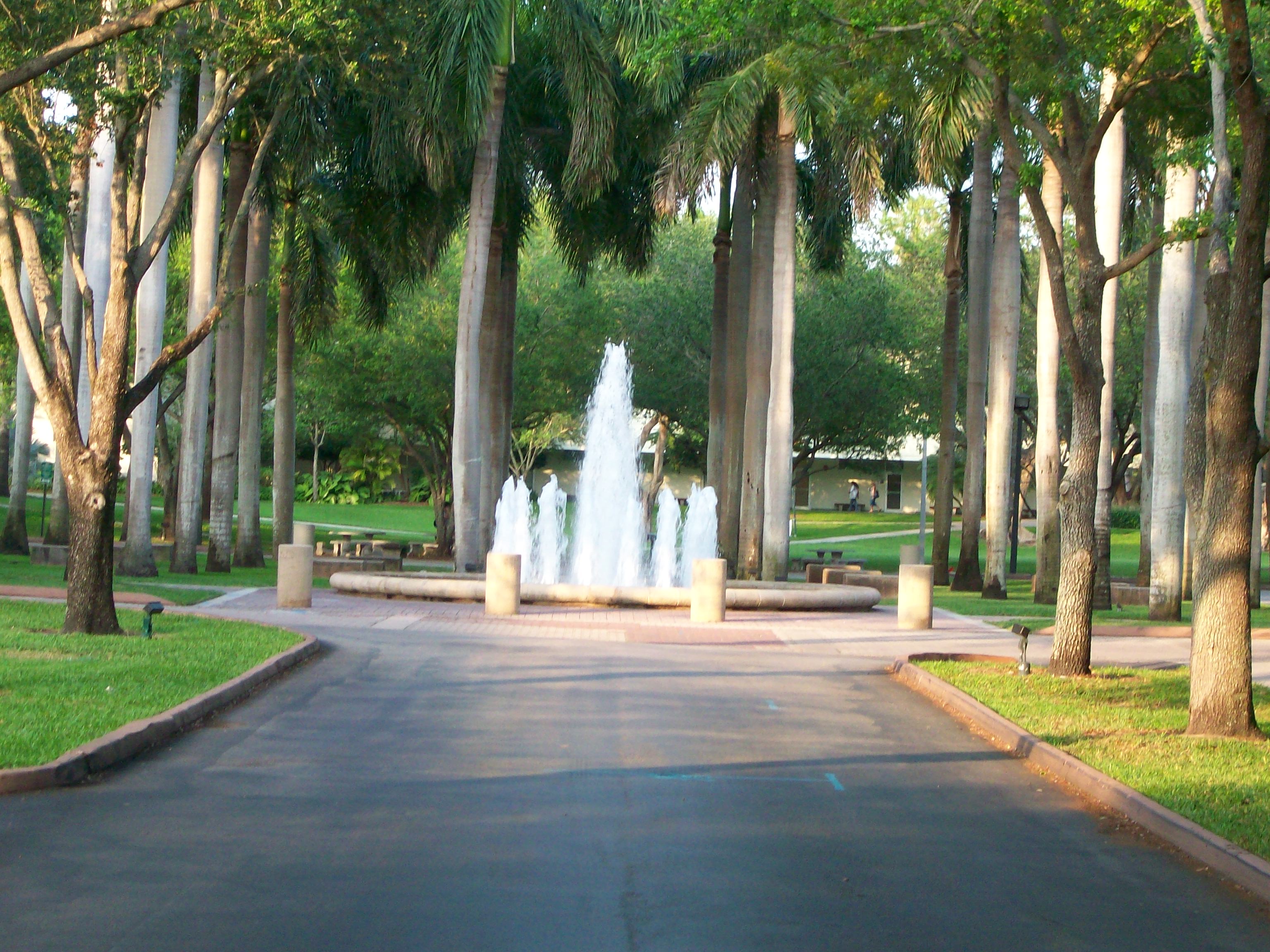 The University of Miami