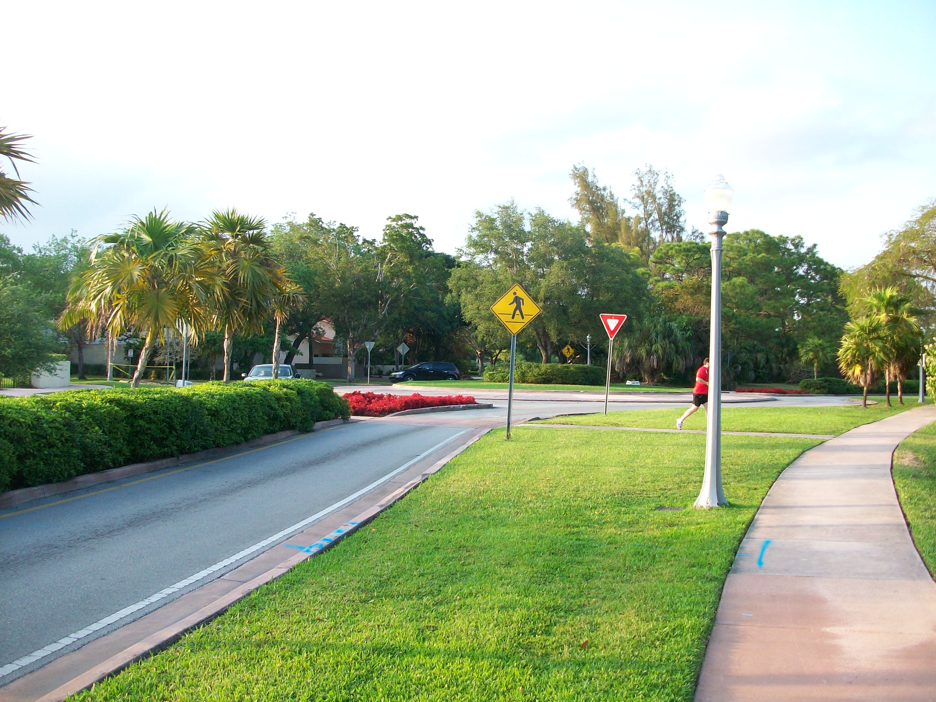 The University of Miami