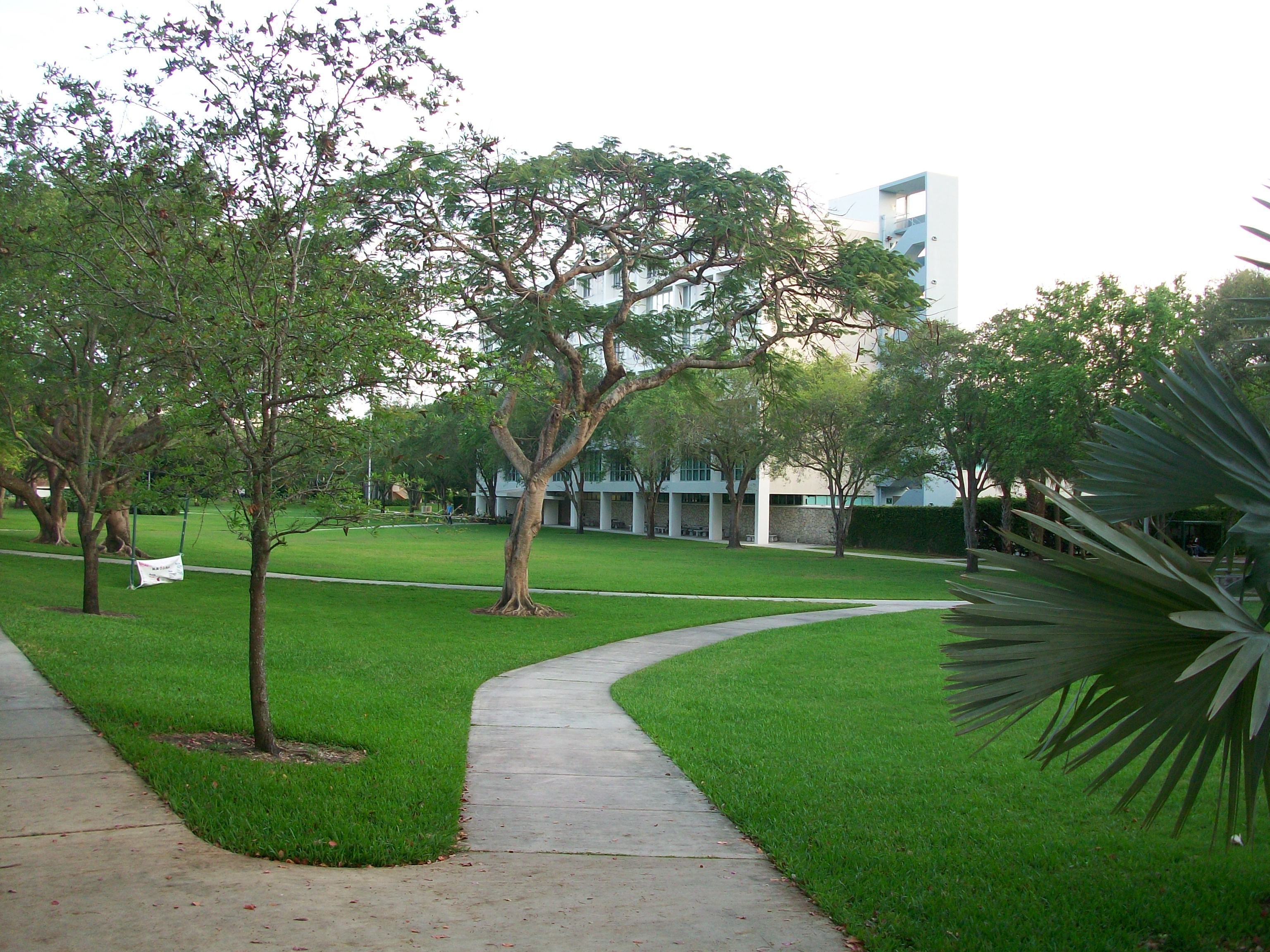 The University of Miami