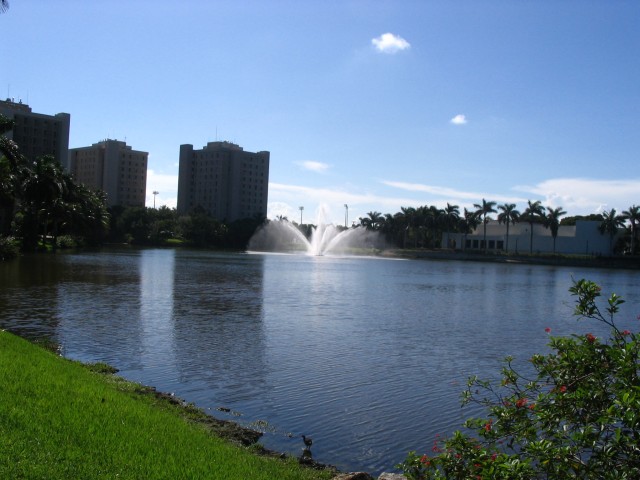 The University of Miami