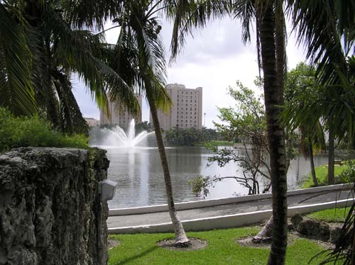 The University of Miami