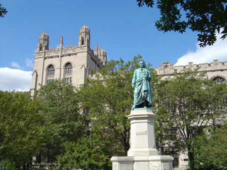 The University of Chicago