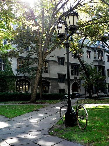 The University of Chicago