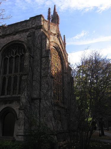 The University of Chicago