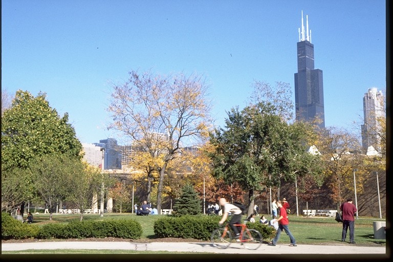 The University of Illinois - Chicago