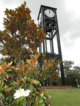 The University of North Carolina - Wilmington