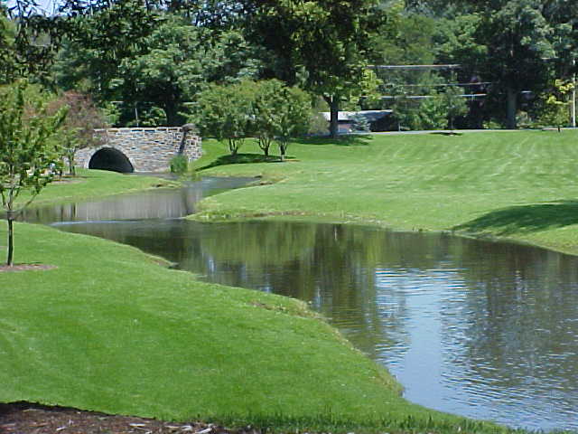 Colgate University