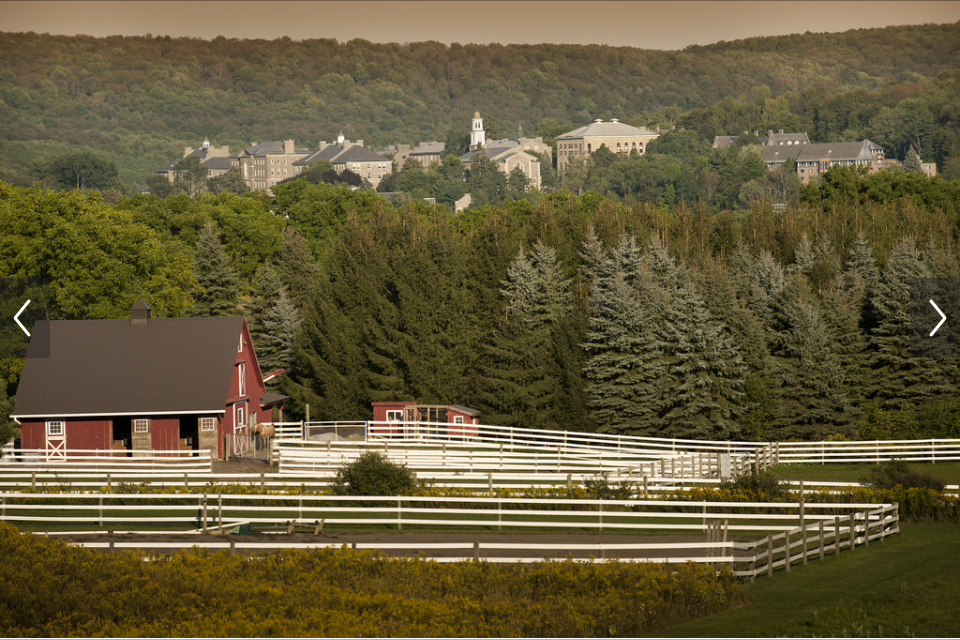 Colgate University