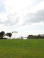 Malformed University Name  Uncategorized Surveys