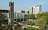 Temple University