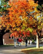 Texas A & M University - College Station