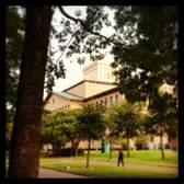 The University of Houston