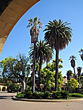 Stanford University