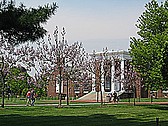 The University of Delaware