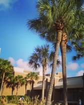 Pensacola Christian College