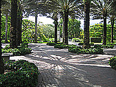 The University of Miami