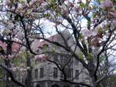 The University of Chicago