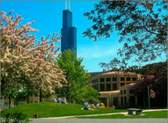 The University of Illinois - Chicago