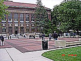 The University of Michigan - Ann Arbor