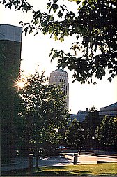 The University of Michigan - Ann Arbor