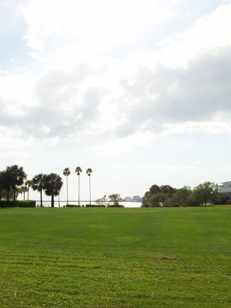 Malformed University Name  Uncategorized Surveys