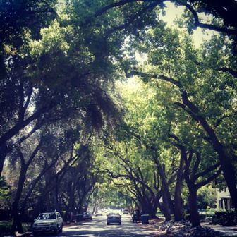 Malformed University Name  Uncategorized Surveys