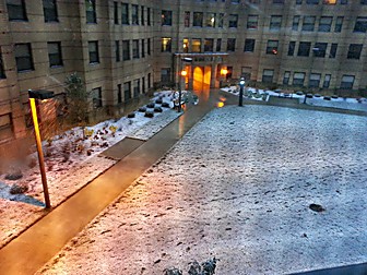 Malformed University Name  Uncategorized Surveys