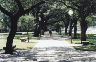 Texas A & M University - College Station