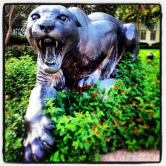 The University of Houston